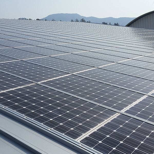 未來(lái)能源：中國(guó)在太陽(yáng)能發(fā)電領(lǐng)域處于領(lǐng)先地位